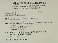 登錄號:F0029197藏品圖，第2張