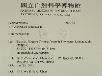 刺皮菌屬藏品圖，第2張