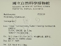 多年臥孔菌屬藏品圖，第2張