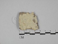 登錄號:F0029202藏品圖，第1張