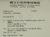 多年臥孔菌屬藏品圖，第2張