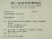 絲齒菌屬藏品圖，第2張