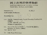 刺皮菌屬藏品圖，第2張