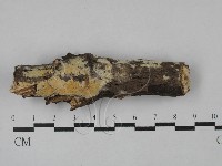 登錄號:F0029208藏品圖，第1張