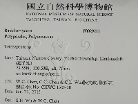 附毛菌屬藏品圖，第2張