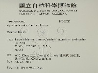 雞油菌屬藏品圖，第2張