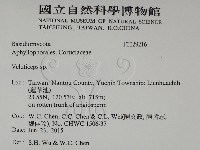 登錄號:F0029216藏品圖，第2張