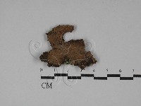 登錄號:F0029216藏品圖，第1張