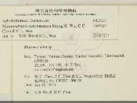 登錄號:F0029217藏品圖，第2張