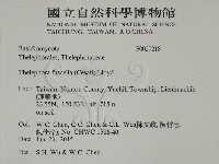 棕色革菌藏品圖，第2張