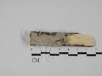 登錄號:F0029221藏品圖，第1張