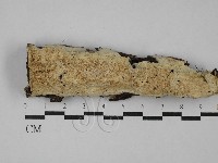 登錄號:F0029222藏品圖，第1張