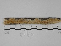登錄號:F0029224藏品圖，第1張