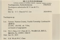 館號:F0029226藏品圖，第3張