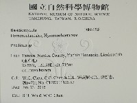 木層孔菌屬藏品圖，第2張