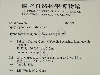 登錄號:F0029229藏品圖，第2張