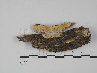 登錄號:F0029229藏品圖，第1張