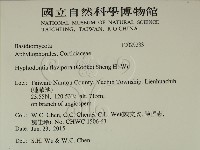 登錄號:F0029233藏品圖，第2張