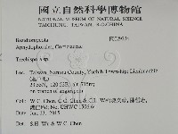 登錄號:F0029234藏品圖，第2張