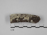 登錄號:F0029234藏品圖，第1張