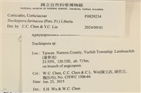 登錄號:F0029234藏品圖，第3張