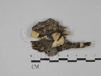 登錄號:F0029235藏品圖，第1張