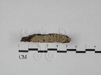 登錄號:F0029236藏品圖，第1張
