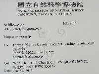 登錄號:F0029237藏品圖，第2張