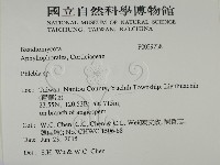 登錄號:F0029238藏品圖，第2張