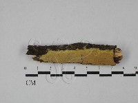 登錄號:F0029238藏品圖，第1張
