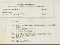 登錄號:F0029238藏品圖，第3張