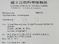 筍殼菌屬藏品圖，第2張