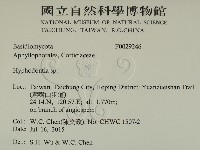 絲齒菌屬藏品圖，第2張