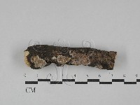 登錄號:F0029248藏品圖，第1張