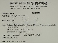 粗糙孢菌屬藏品圖，第2張