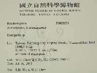 登錄號:F0029251藏品圖，第2張