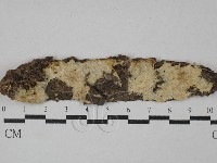 登錄號:F0029251藏品圖，第1張