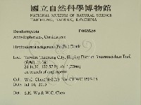 剛毛絲皮菌藏品圖，第2張