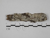 登錄號:F0029257藏品圖，第1張