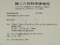 射脈菌屬藏品圖，第2張
