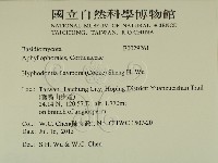 登錄號:F0029261藏品圖，第2張