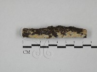 登錄號:F0029261藏品圖，第1張