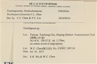 登錄號:F0029264藏品圖，第3張