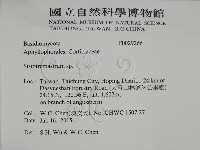 登錄號:F0029266藏品圖，第2張