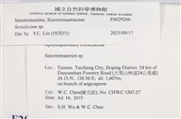 登錄號:F0029266藏品圖，第3張