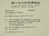 登錄號:F0029269藏品圖，第2張