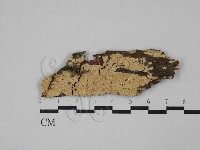 登錄號:F0029269藏品圖，第1張