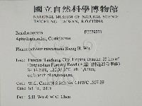 登錄號:F0029271藏品圖，第2張