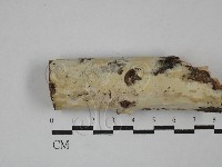 登錄號:F0029271藏品圖，第1張