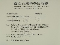 傑克菌屬藏品圖，第2張